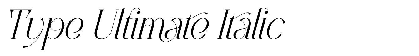 Type Ultimate Italic
